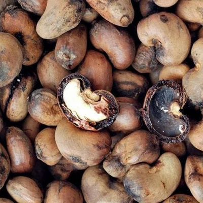 Products cashew nut